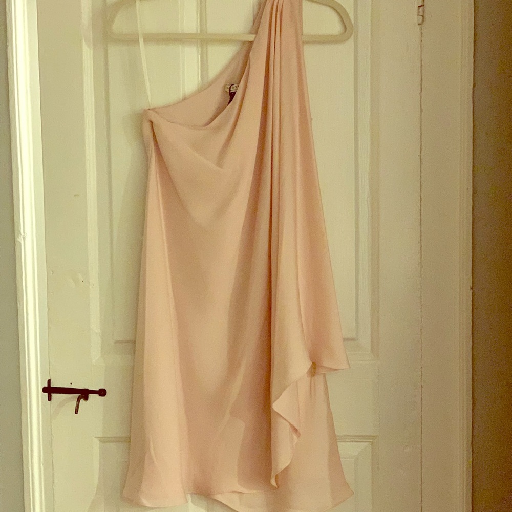 NWOT! Blush Halston Heritage! NWOT!